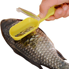 Fish scraper and grater in one tool, easy cleaning