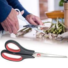 Scissor set for home and office use.